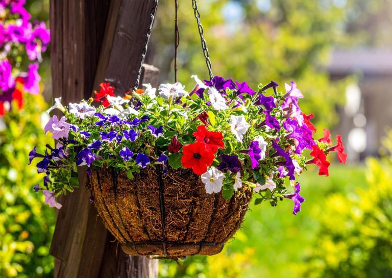 A hanging basket overflowing with colourful petunias in shades of red, purple, white, and blue, set against a blurred background of greenery and a house.
