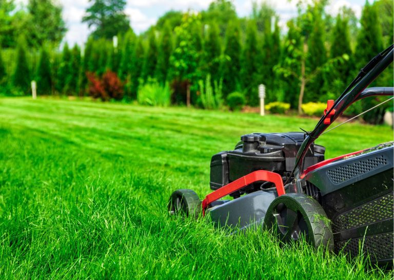 Back left view of lawnmower as it mows lush green grass.
