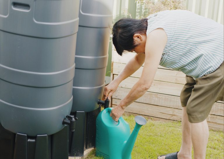A person is collecting water from a rain barrel into a green watering can in a garden.