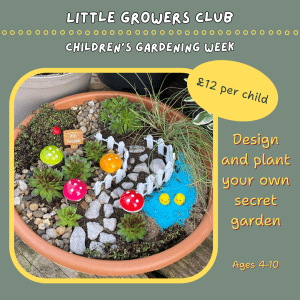 A promotional graphic for Little Growers Club Children's Gardening Week at Raglan Garden Centre. A terracotta bowl garden is filled with succulents, pebbles, colourful mushroom ornaments, a miniature white fence, blue decorative sand and a small "My Garden" sign. Text reads: £12 per child, Design and plant your own secret garden, Ages 4-10.