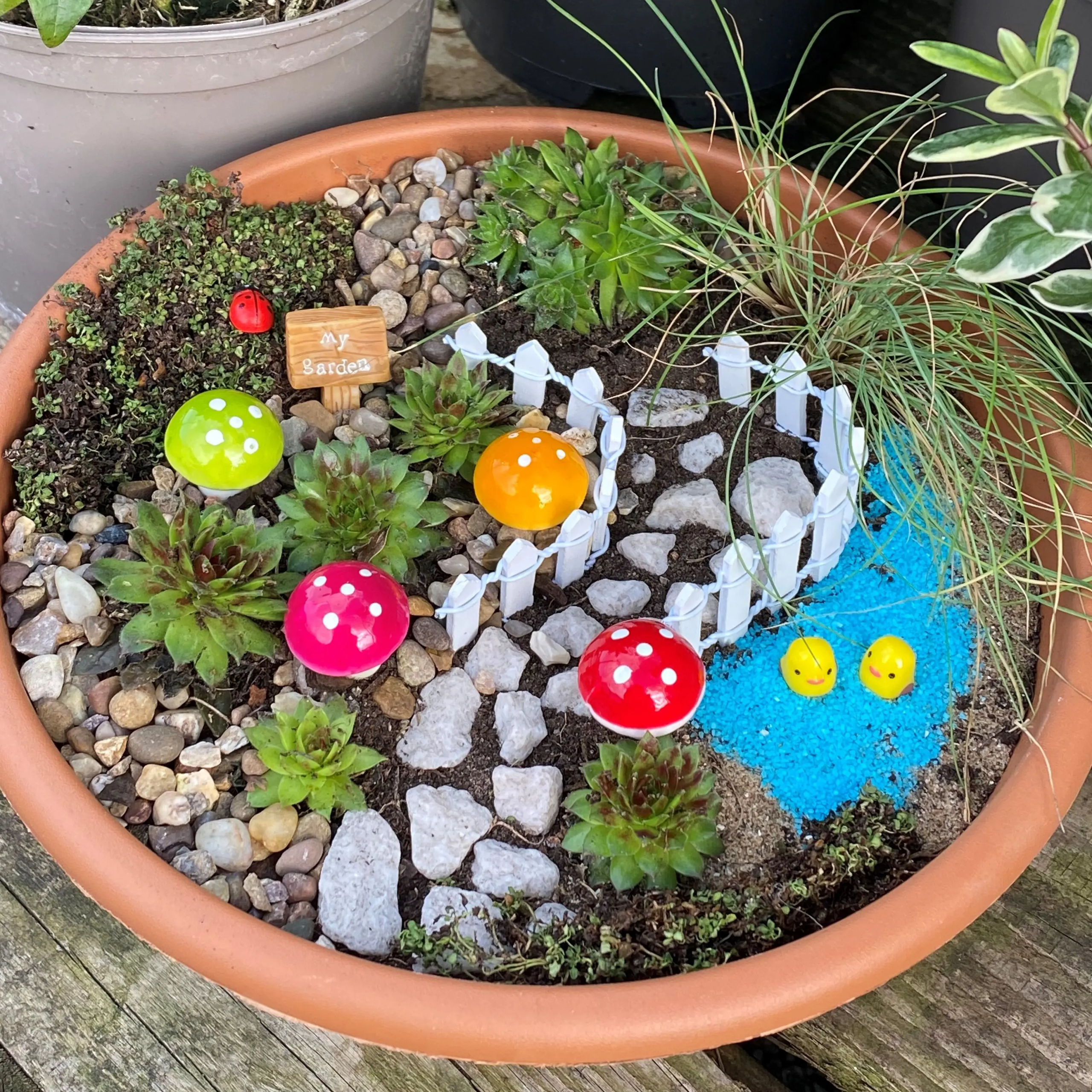 A child's miniature secret garden planted in a terracotta bowl, featuring succulents, pebbles, colourful mushroom ornaments, a miniature white picket fence, blue decorative sand and a small wooden "My Garden" sign.
