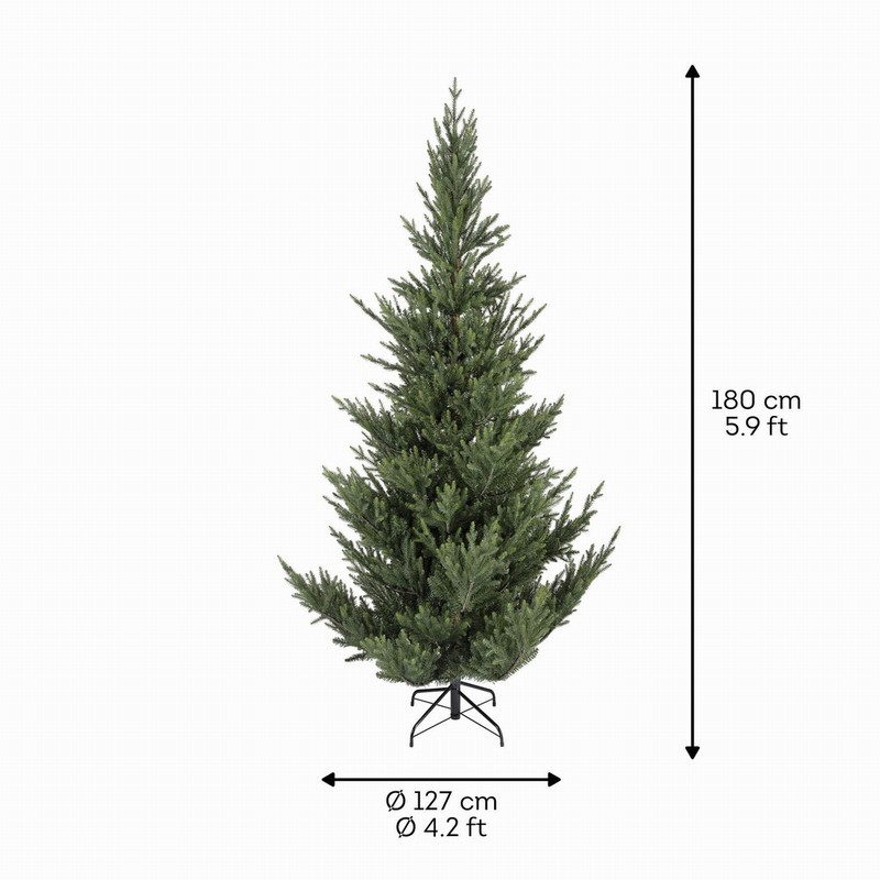Norway Spruce 6ft - Image 2