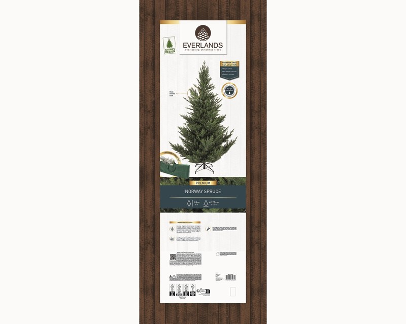 Norway Spruce 6ft - Image 3