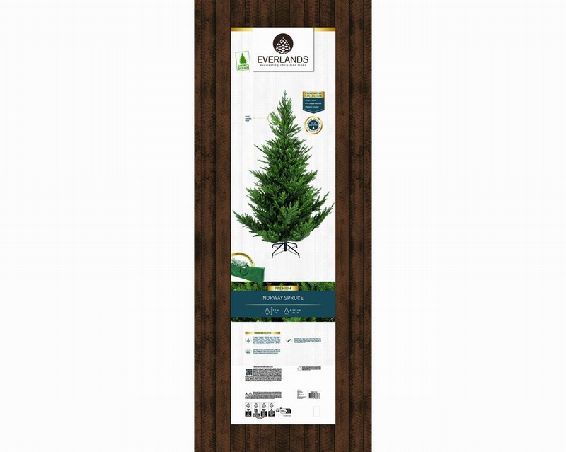 Norway Spruce 7ft - Image 2