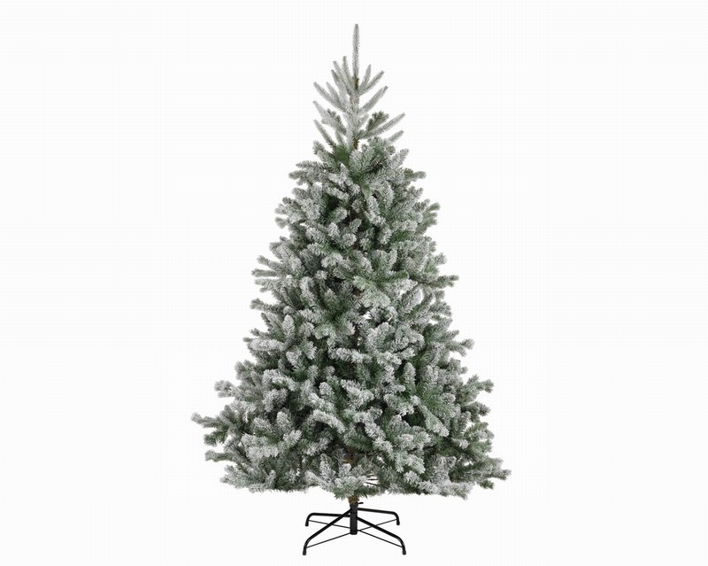 Alba Fir Snowy 240CM